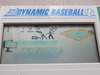 Epoch: Dynamic Baseball , 